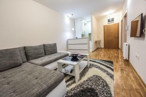 Yasmin Apartment (pozega In Serbia)