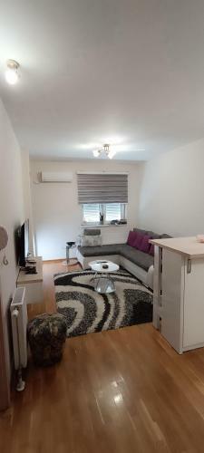 Yasmin Apartment (pozega In Serbia)