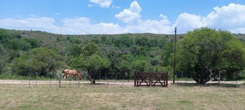 Caba�as El Mallin