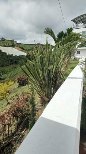 Apartamento Campestre Villa Olivia