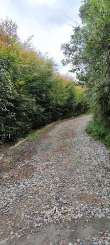 Apartamento Campestre Villa Olivia