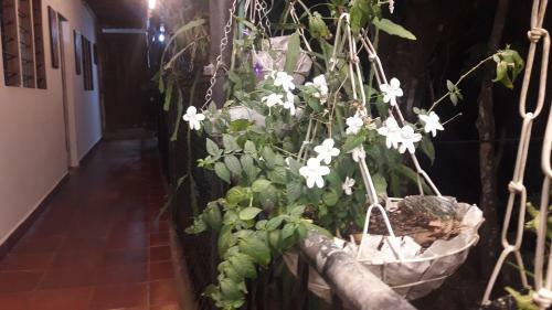 Hostal San Marcos Ancestral