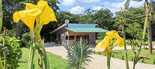 Villa Casa Congo Avellanas