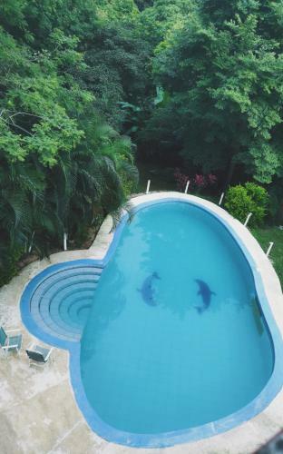 Hotel Georgi Cr