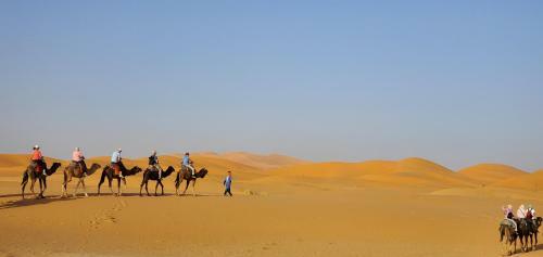 Hotel Auberge Ksar Merzouga