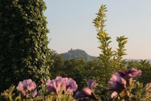 Apartamento Casa Vacanze I Boidi
