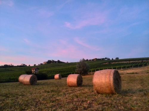 Apartamento Casa Vacanze I Boidi