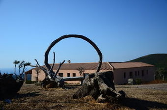 Agroturismo Agriturismo Costa Verde
