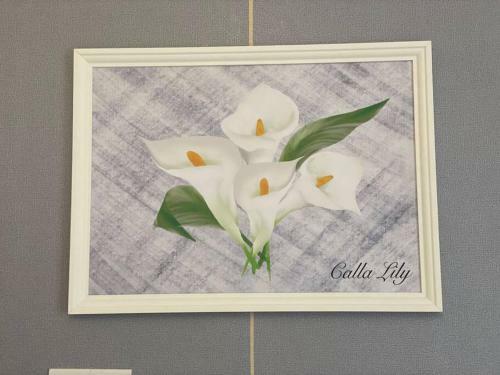 Apartamento Pool View Calla Lily Studio With Wifi
