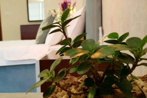 Apartamento Aron's Laviniya