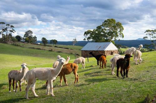 Old Mannings Farm