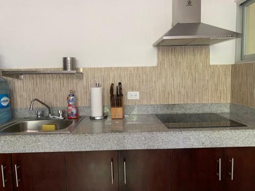 Private Apartment With A Pool In Merida (unit 1)