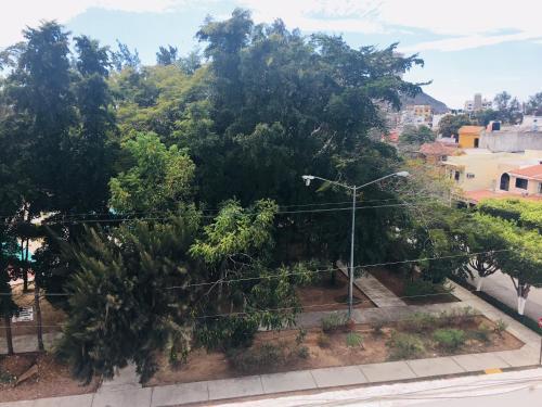 Apartamento S�balo Vista 305