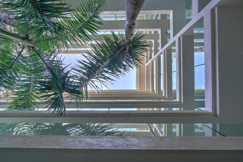 Apartamento Nayri Life & Spa 101