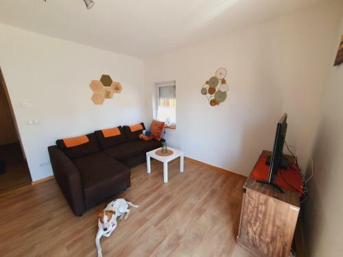 Apartamento Charmantes Appartment