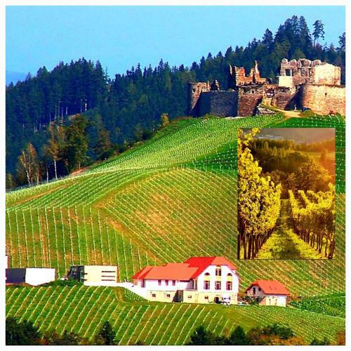 Apartamento Perle No. 18 : Mittendrin Zwischen See & Altstadt