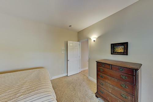 Timberline Squirrel