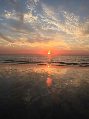 Apartamento Beachstudio Westende