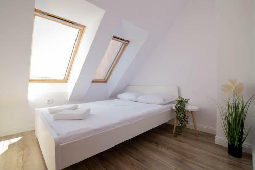 Brand New Apartment With Pool Gym And Playground
