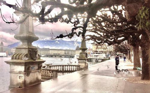 Vintage Apartment Luzern