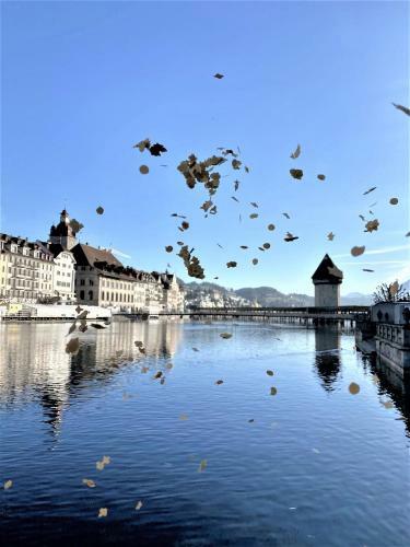 Vintage Apartment Luzern