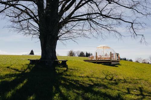 Adventurly Bubble-suite Mit 360 Grad Alpen-panorama