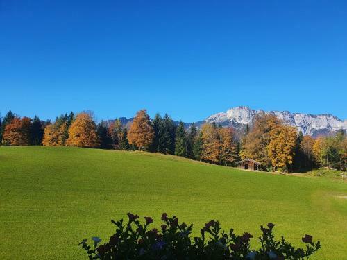 Apartamento G�stehaus L�rcheck Berchtesgaden Fewo Gipfelzauber