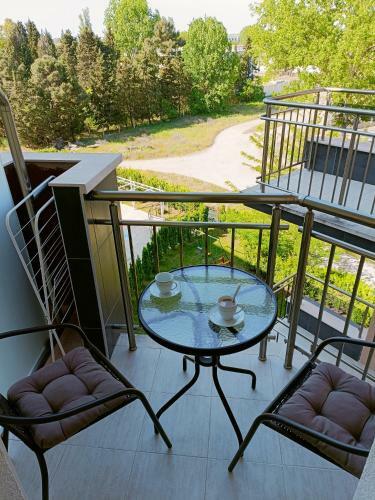 Vip Vision Apartment