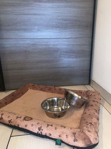 Apartment Owl