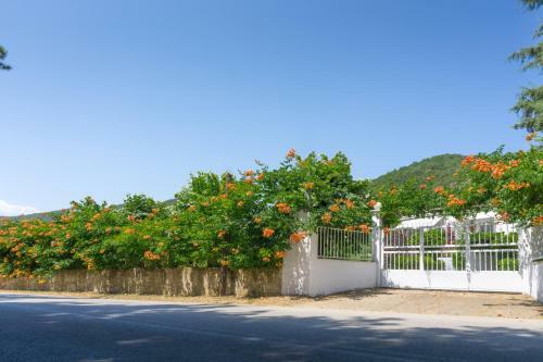 Big Country House, 10' From The Beach