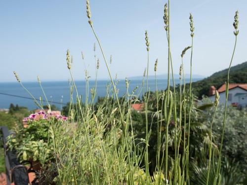 Apartments Villa Zara