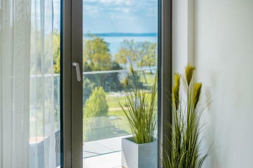 Mf Coral 64 Premium Apartment