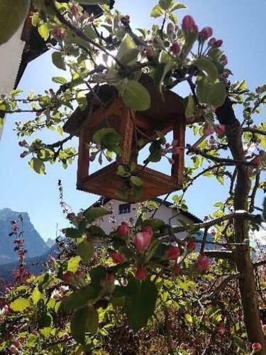 Apartamento Residenze Dolomitiche La Casa Gialla