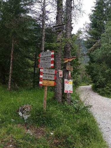 Apartamento Residenze Dolomitiche La Casa Gialla