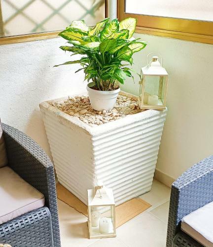 Apartamento Dante House