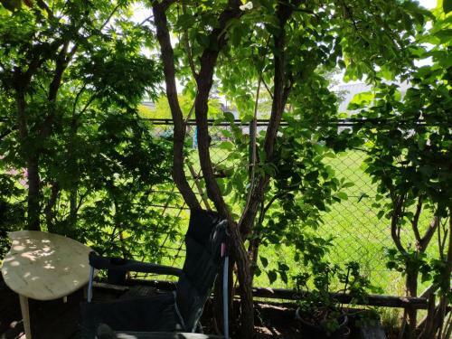 Hostal B&B Yoshida - Vacation Stay 12719