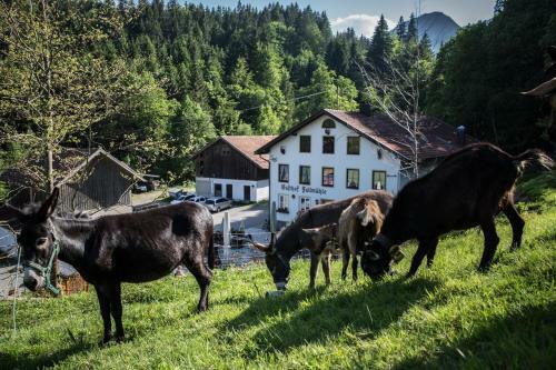 Posada Gasthof Fallm�hle
