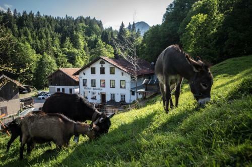 Posada Gasthof Fallm�hle