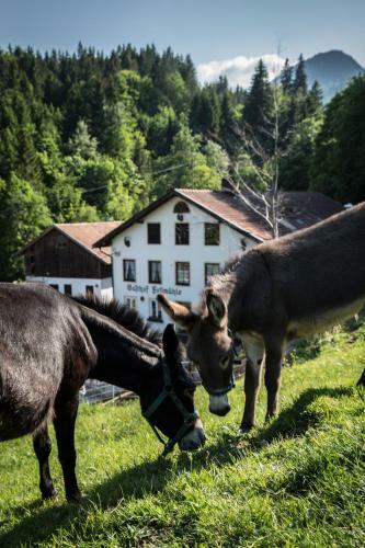 Posada Gasthof Fallm�hle