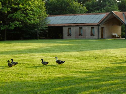 Agroturismo Relais Agrituristico Ormesani
