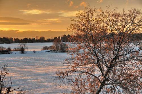 � La Chouette B&B