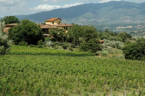 Agroturismo Locanda Casanuova