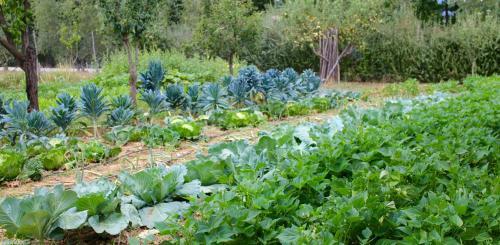 Agroturismo Locanda Casanuova