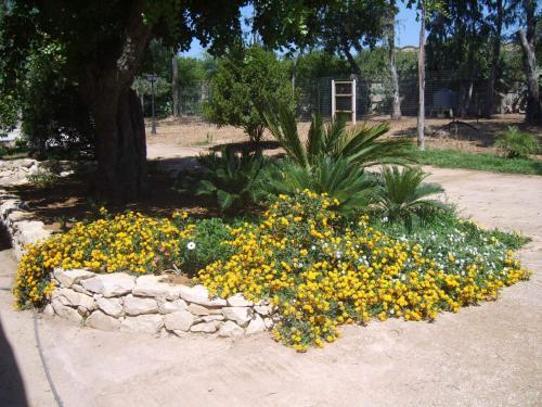 Tenuta Biddemi B&B