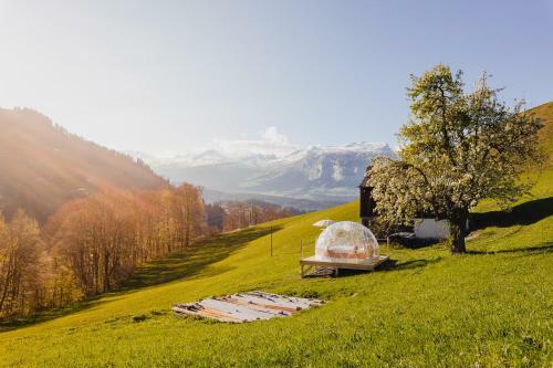 Bubble-suite Hinter Einem Birnenbaum Mit Einzigartigem Blick