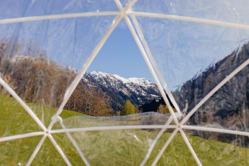 Bubble-suite Hinter Einem Birnenbaum Mit Einzigartigem Blick