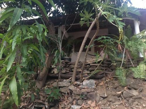Apartamento Casa Luna Mazunte