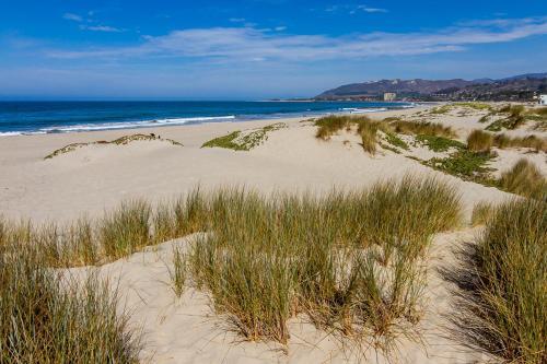 Ventura Pierpont Fun