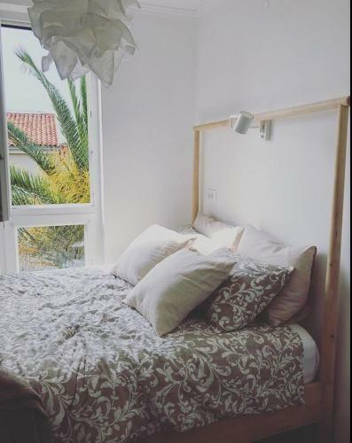 Apartamento Mypalmas_suite