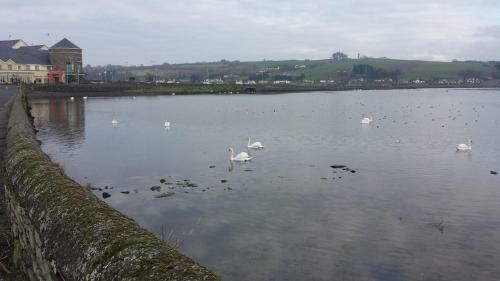 Hostal Lake View, Rosscarbery